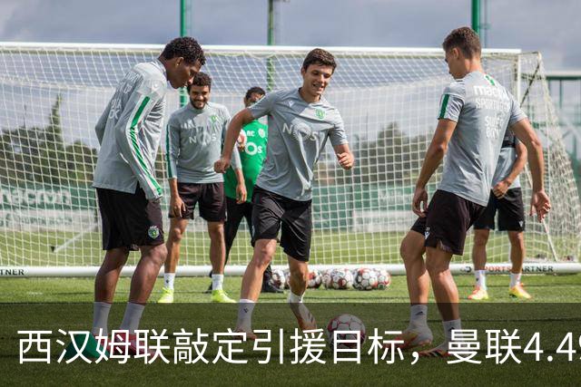 西汉姆联敲定引援目标，曼联4.49亿元求购萨默维尔迎来转机